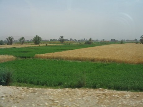 EGYPT_037.jpg